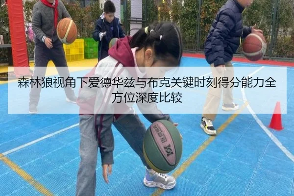森林狼视角下爱德华兹与布克关键时刻得分能力全方位深度比较